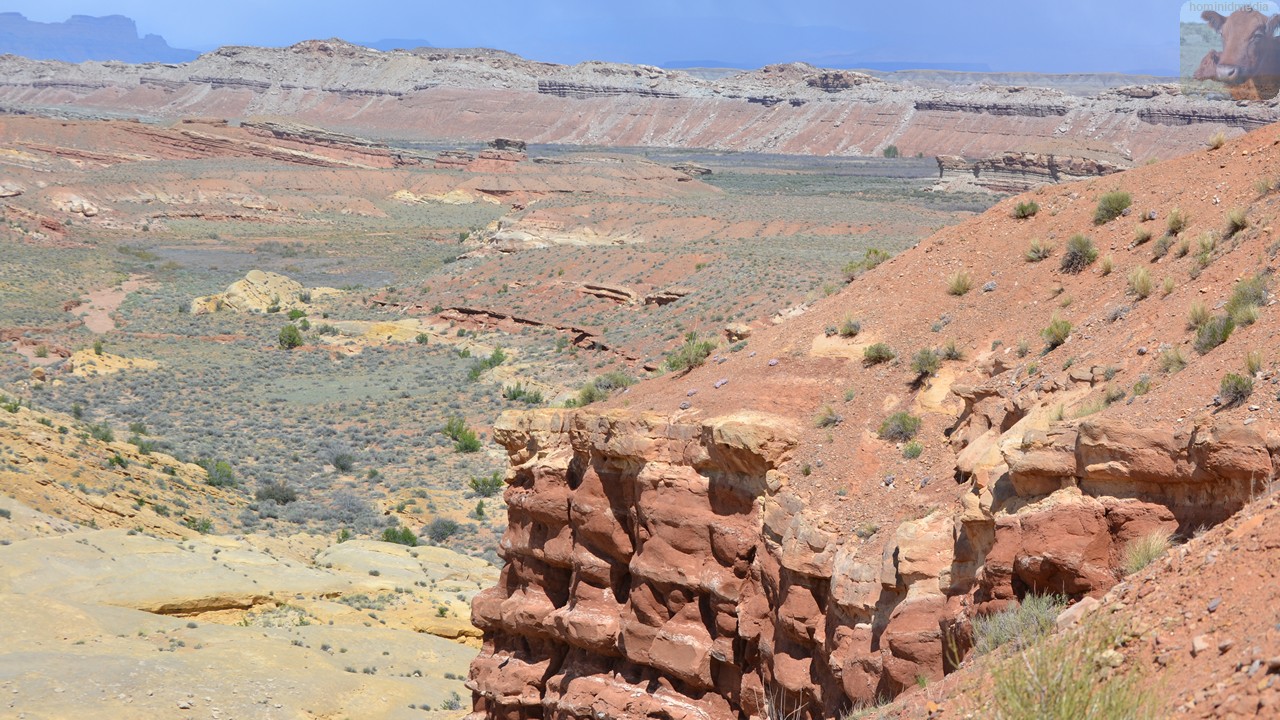 Picketwire / Wobbly Doxology