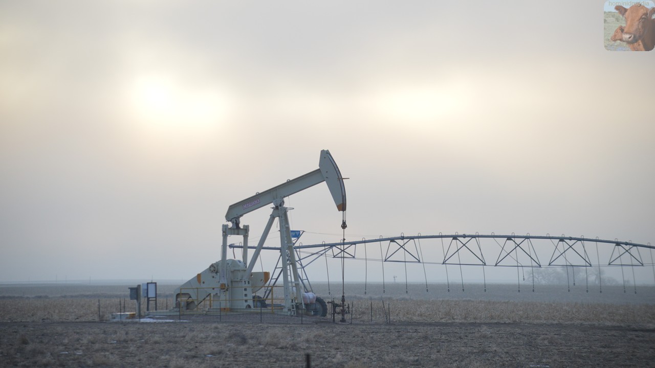 Woolly Caterpillar / Vampire Blues