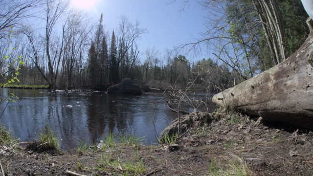 Flambeau River