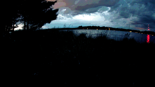 mid lake fireflies